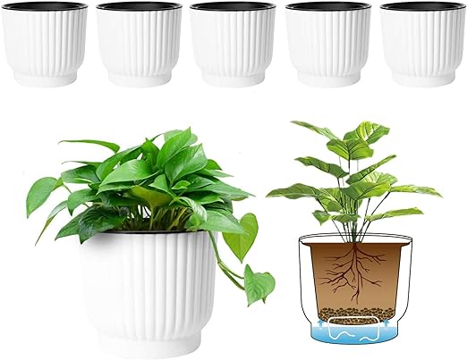 To beautify homes and decorate homes with beautiful plants, Multidimensional Products offers a wide range of beautiful and durable pots for beautiful plants.